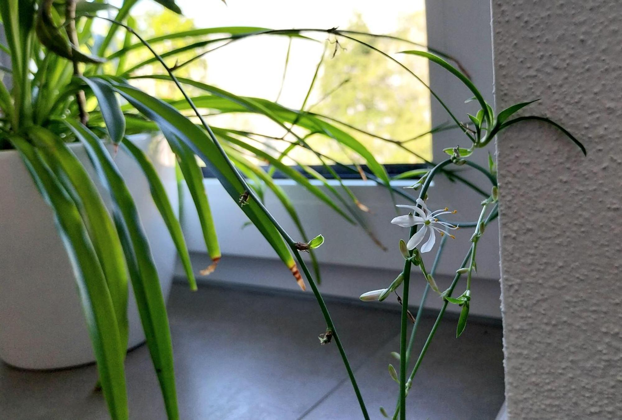 Kempten Mit Bauernhof-Flair Extérieur photo