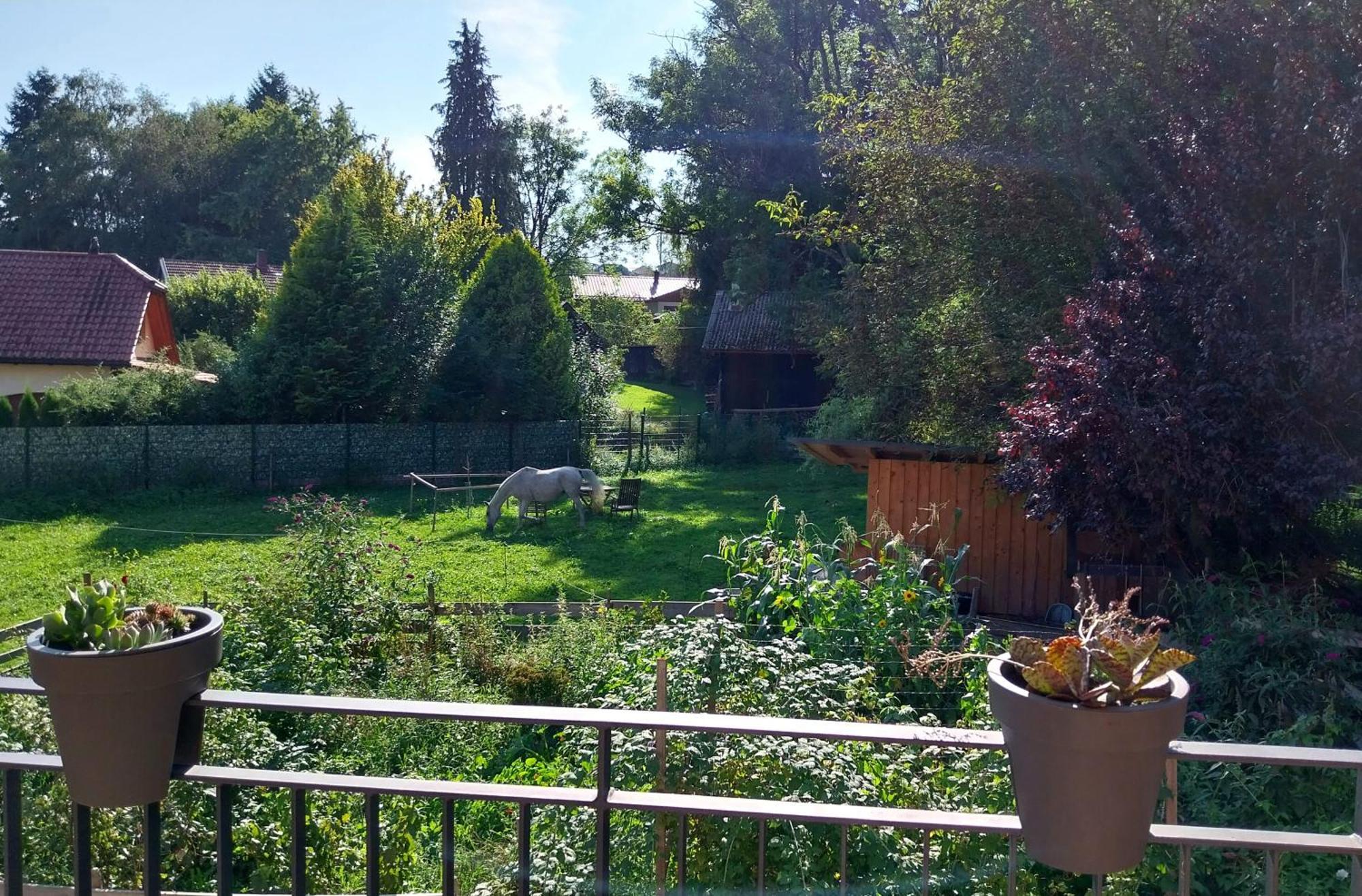 Kempten Mit Bauernhof-Flair Extérieur photo